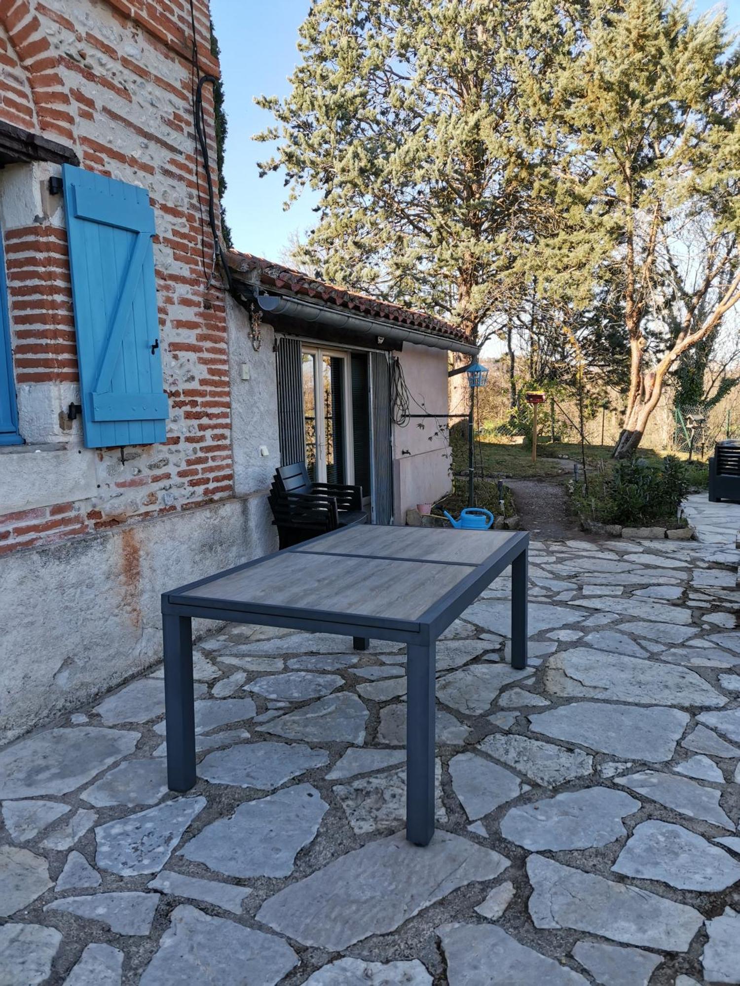 Вілла La Planque De L'Eclusier Castelnau-de-Levis Екстер'єр фото